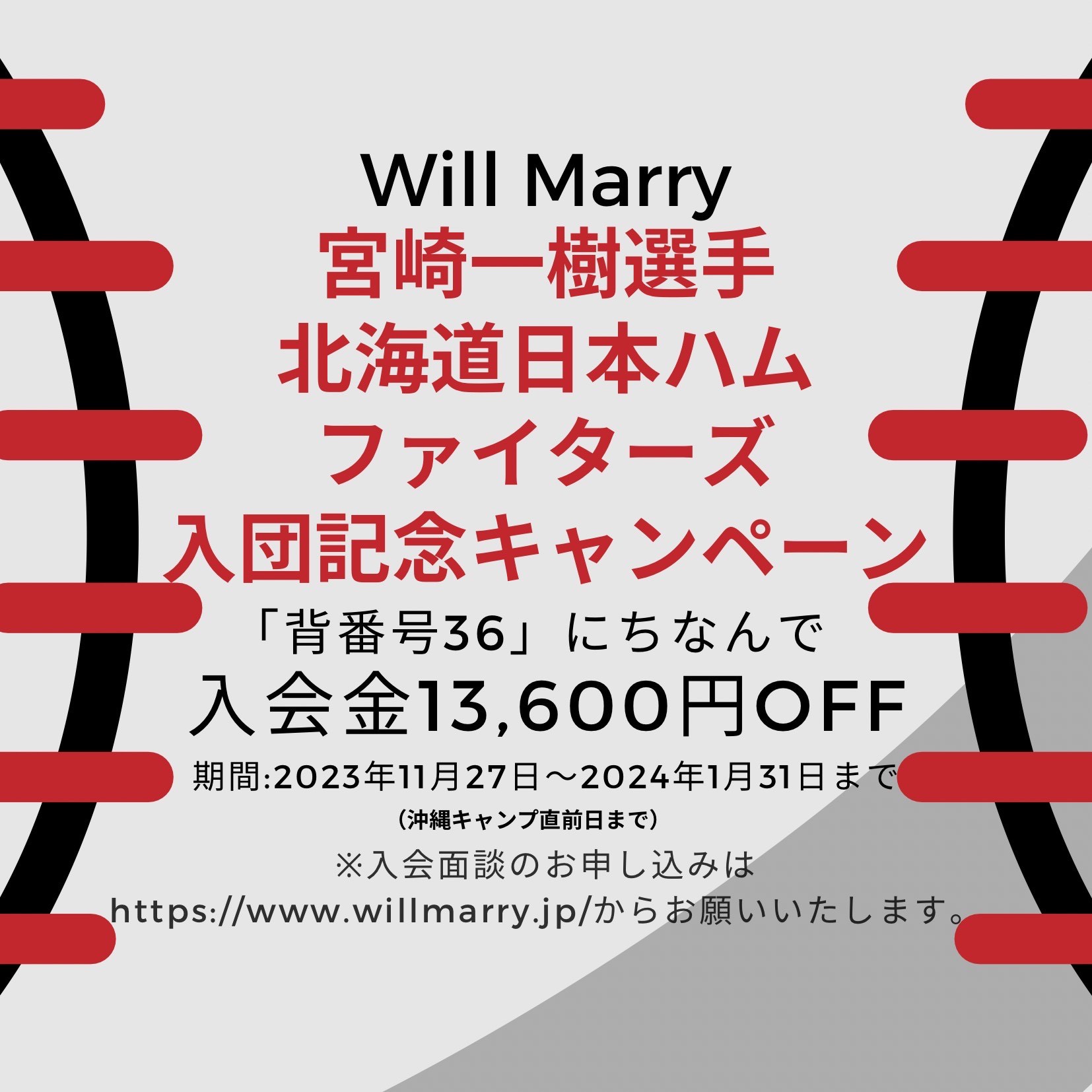 キャンペーン